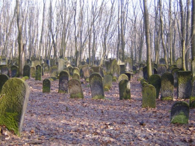 cmentarz żydowski 22