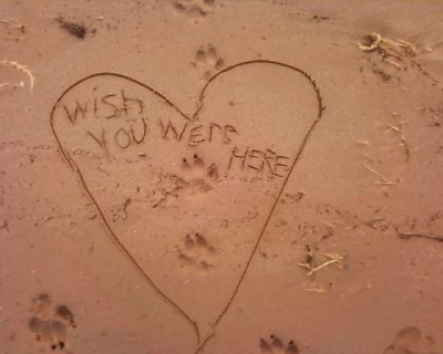 Wish You Were Here