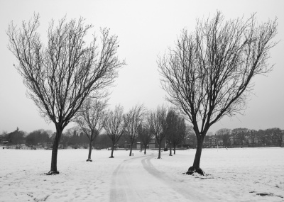 Park in Winter