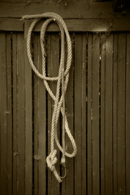 Jetsam