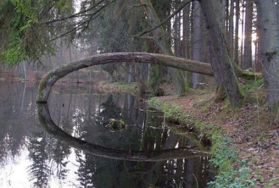 w którą stronę ?