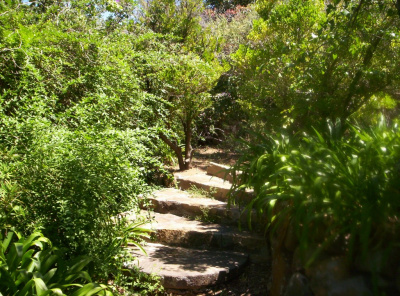 Steps in the garden