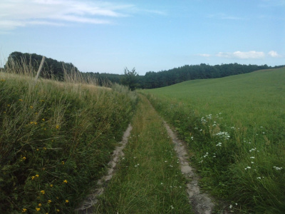piękno natury