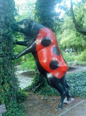 biedroneczka