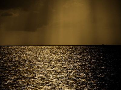 Golden Sea