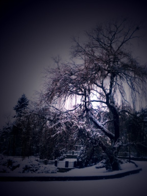 zima2012