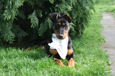 Nelly
