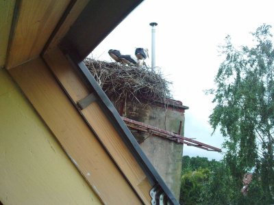 apartament z widokiem