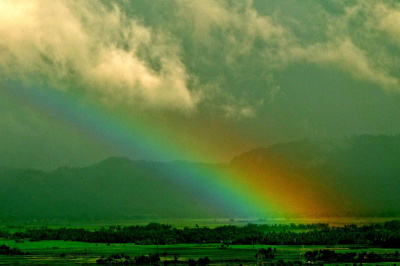 Covenant