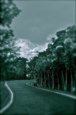 Into Uncertainty