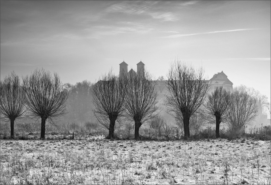 O czym szumią wierzby ?