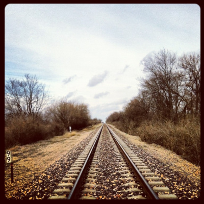 Afternoon Walk
