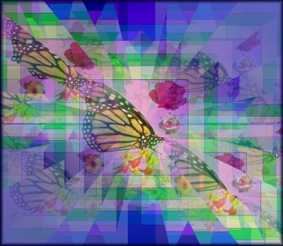 Butterfly Effect