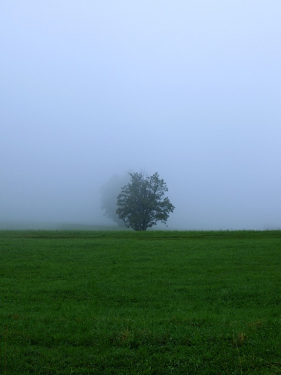 pomiędzy niebem a ziemią