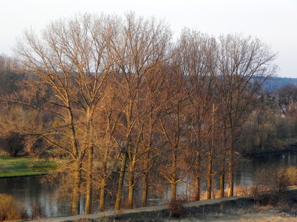 w ostatnich promieniach