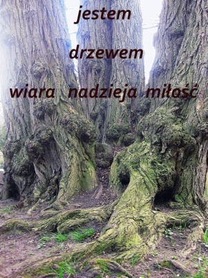 dla Jestem ( w podziękowaniu za inspirację)