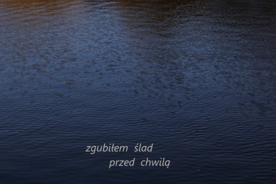 dlaczego