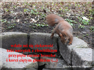 Pasjołaknienie