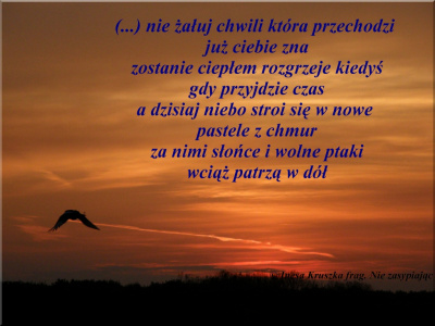 Nie zasypiając