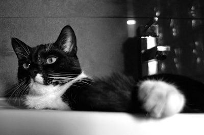 Jinx