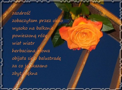 Zazdrość