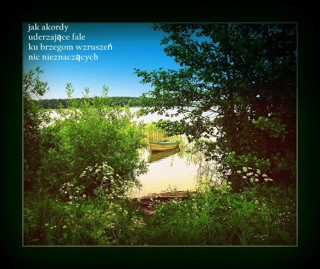 łodzi samotna wędrówka