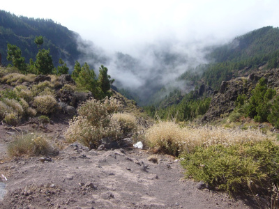Teide