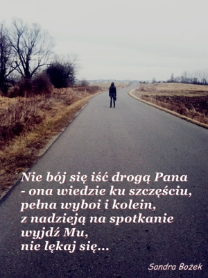 Droga Pana