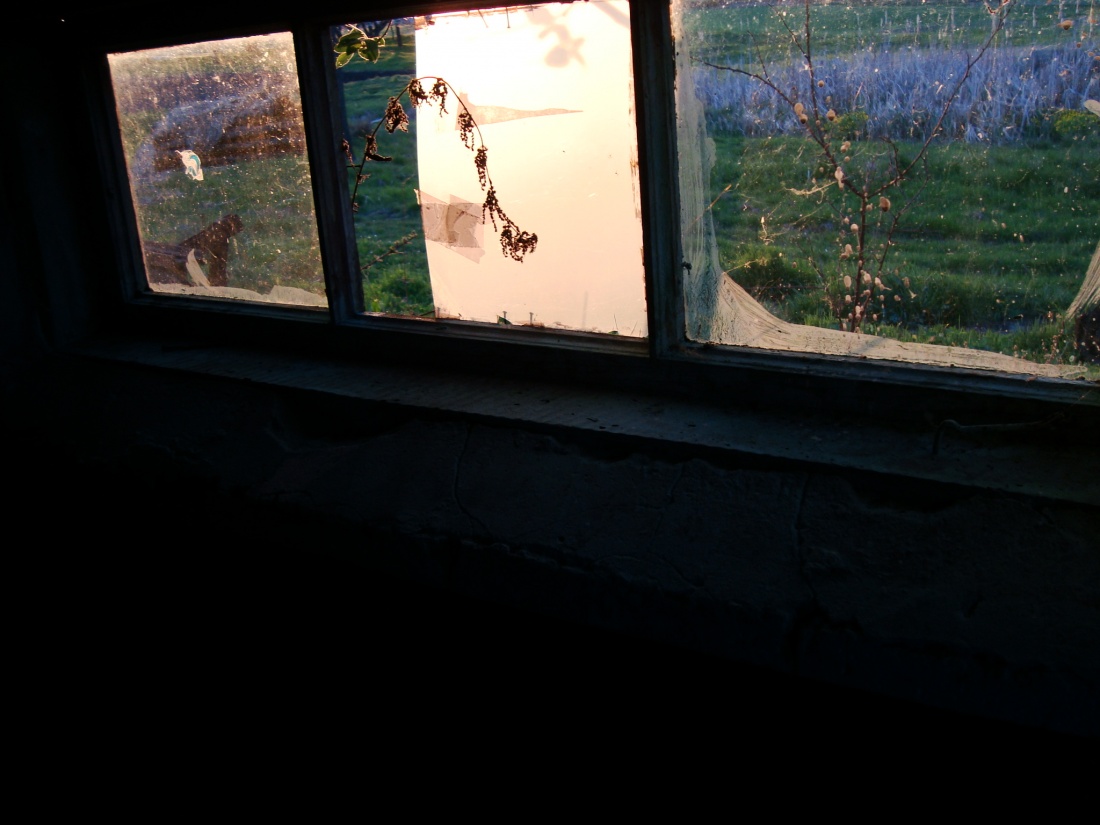 Wpuść mnie do środka