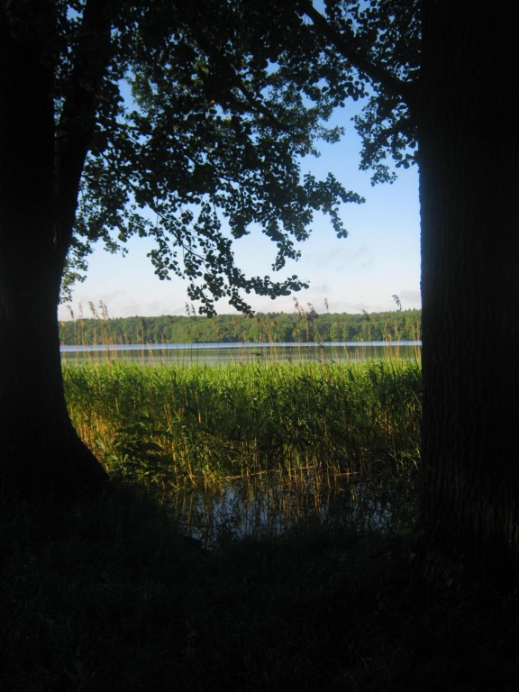 Jezioro Trzesiecko