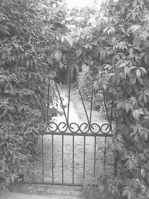 Mystical garden.