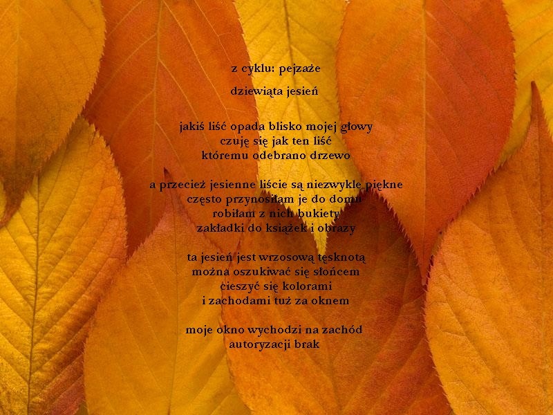 dziewiąta jesień