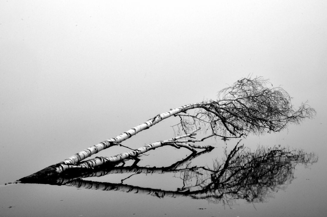 Samotność na wodzie