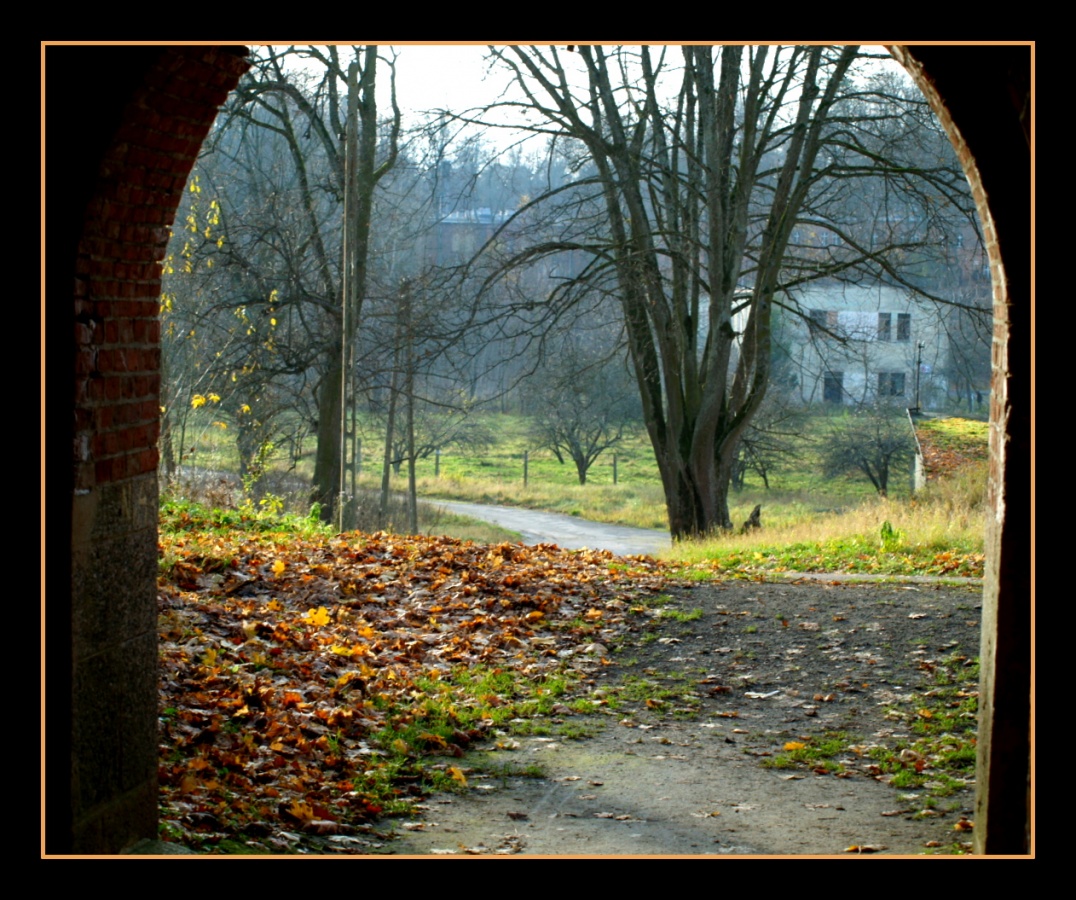 wszędzie jesień...