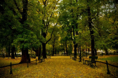 Jesień