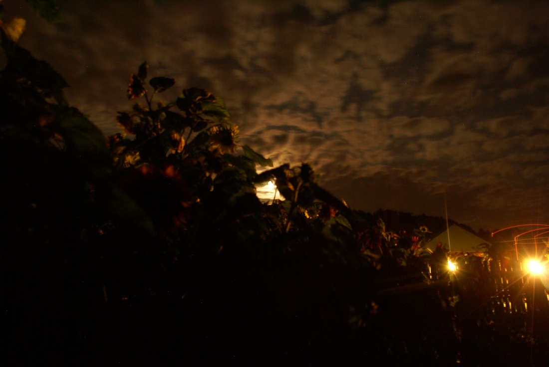 Słońce nocą