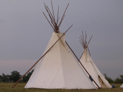 tipi