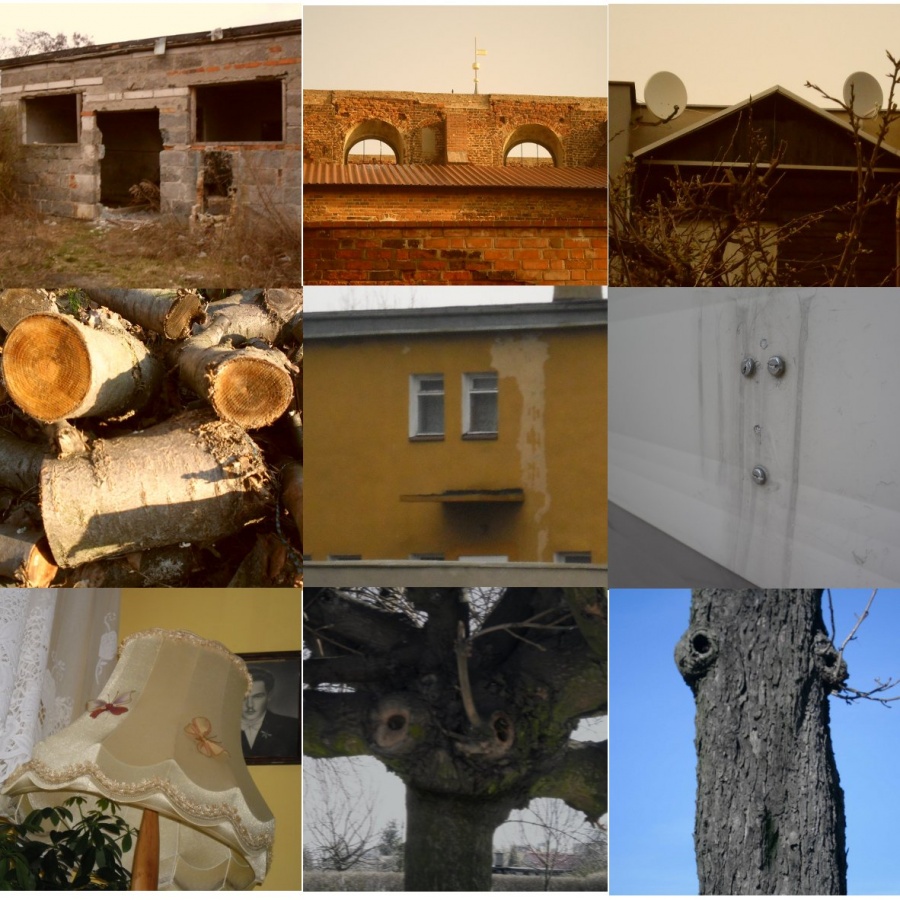 FAces in the Places II
