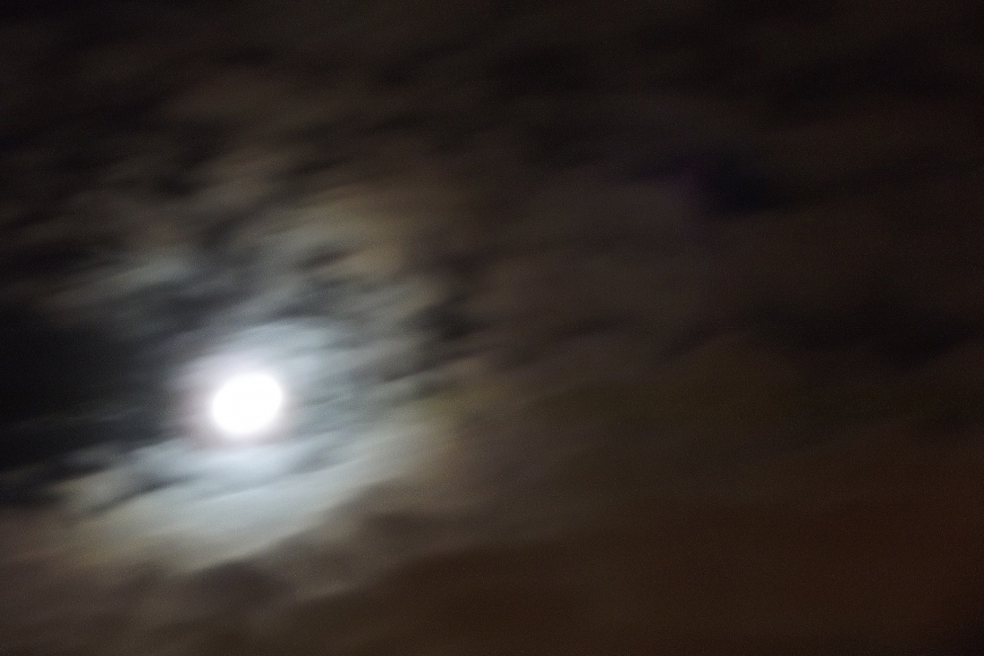 Obudził i namalował nocny obraz