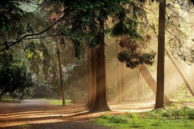 Lipno- Park