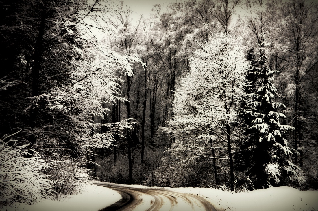 Moja droga do domu. Pora wracać...