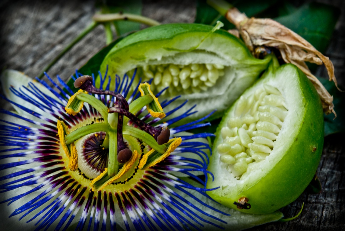 Pasiflora
