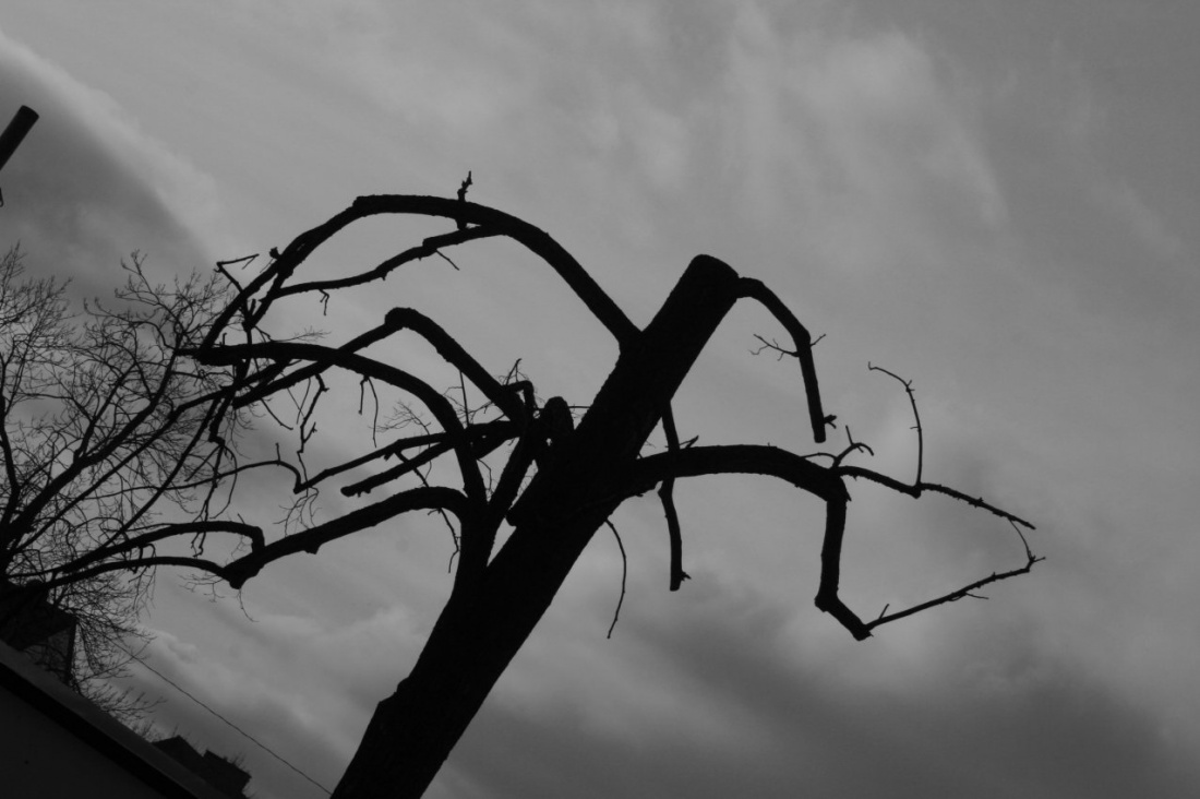 Eoztargniona rzeczywistość lokalna