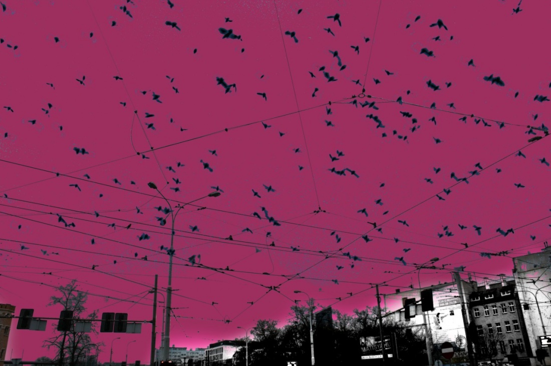 Któregoś dnia nadjedzie mdłość