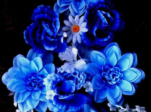 Plastic Flowers from Cemeteries