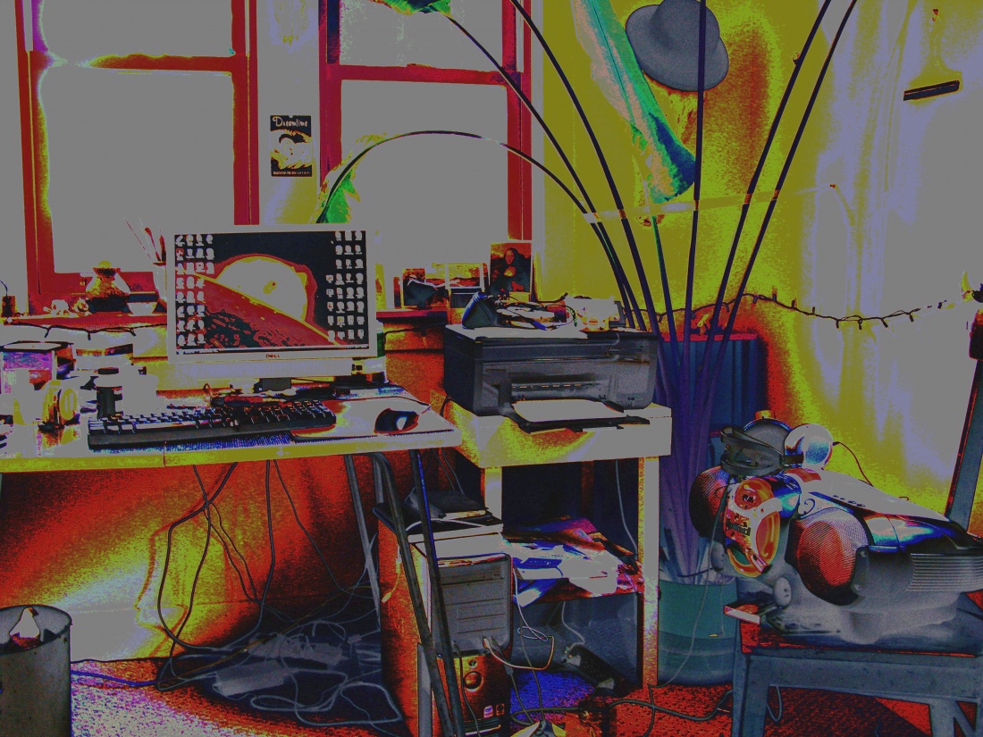 the study