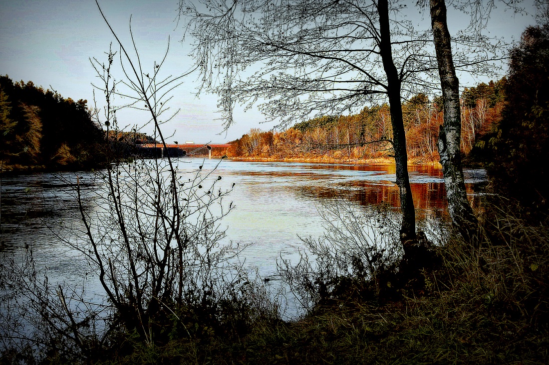 Cichociemna nad brzegiem Niemna