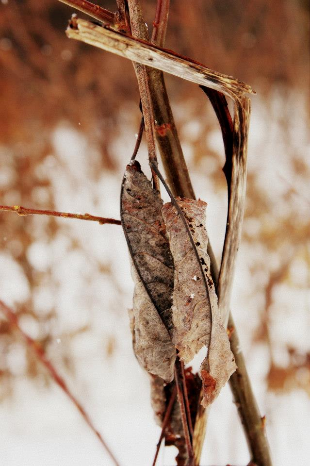 „Dylu dylu na badylu tirli tirli plum plum plum fiku miku na patyku tra ra ra ra bum bum bum”