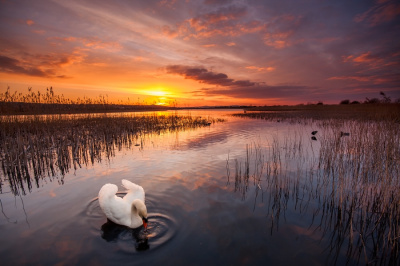 the last rays of the sun