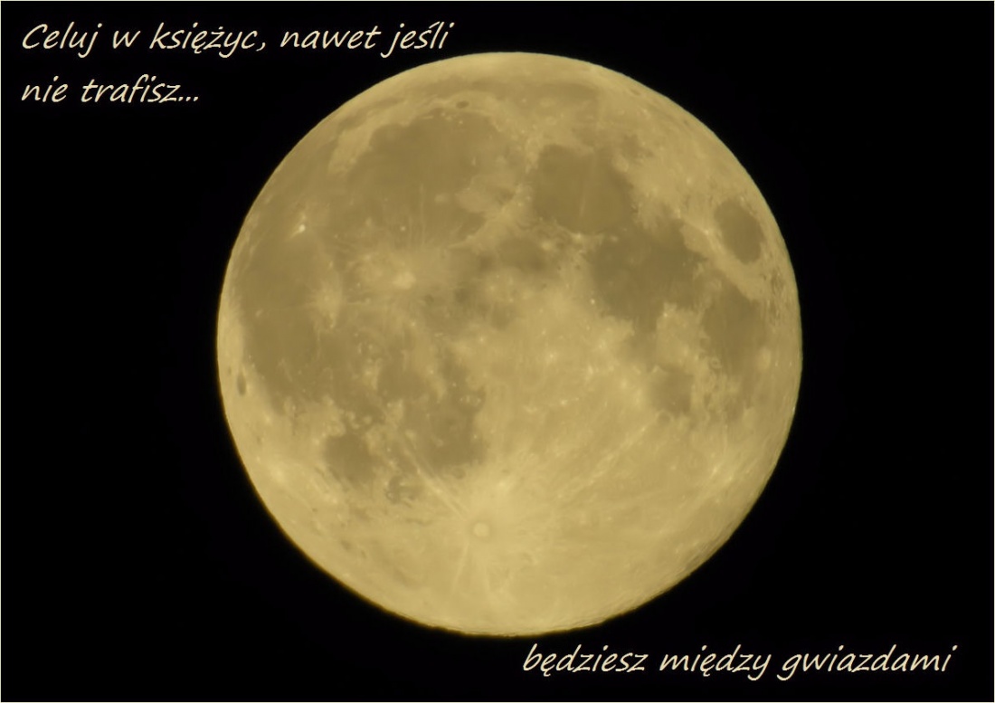 Patrick Süskind -  "Pachnidło" (cyt.)